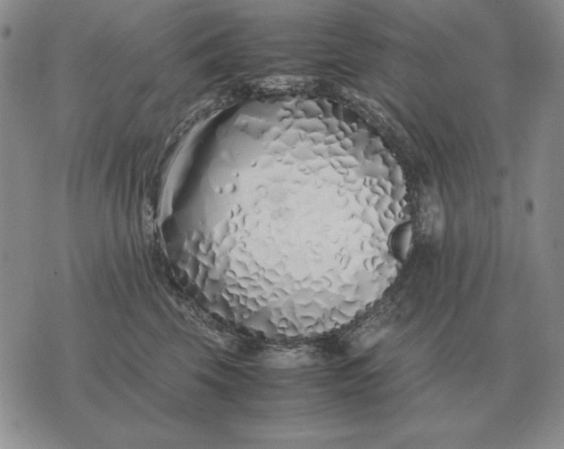 X0000075390569200609251220