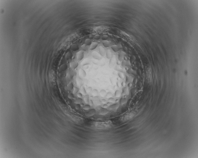 X0000075390571200609251221