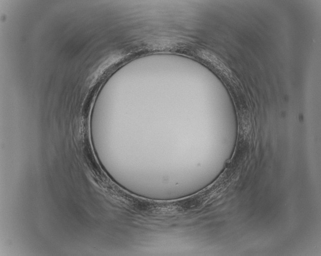 X0000075390583200609251220