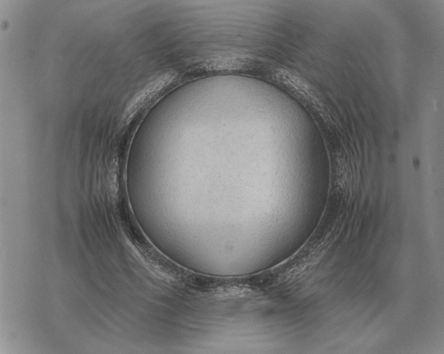 X0000075390586200609251220