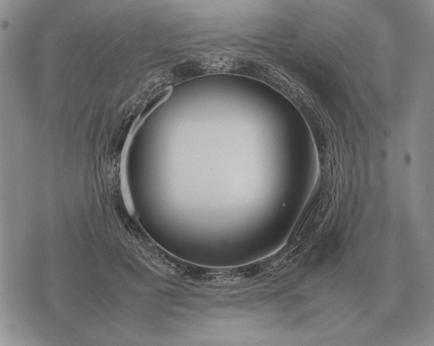 X0000075390601200609251219