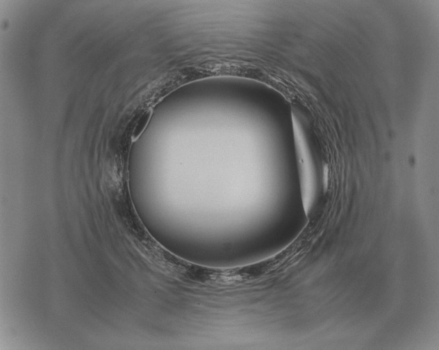 X0000075390607200609251219