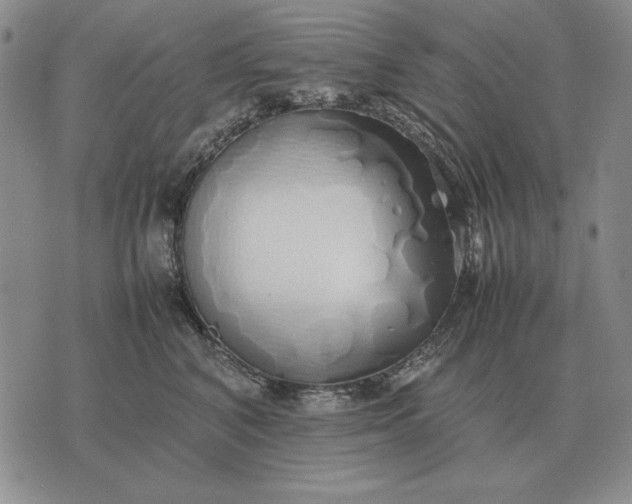 X0000075390616200609251219