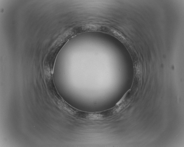 X0000075390617200609251219