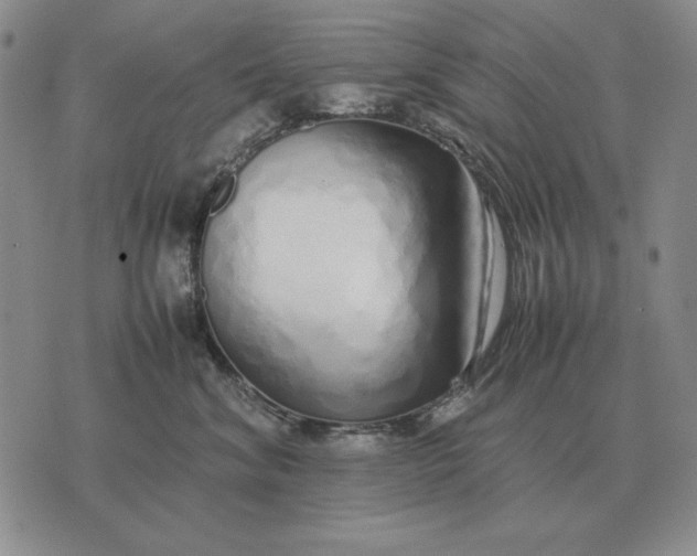 X0000075390620200609251219
