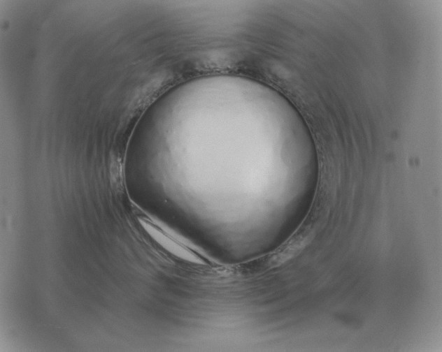 X0000075390624200609251219