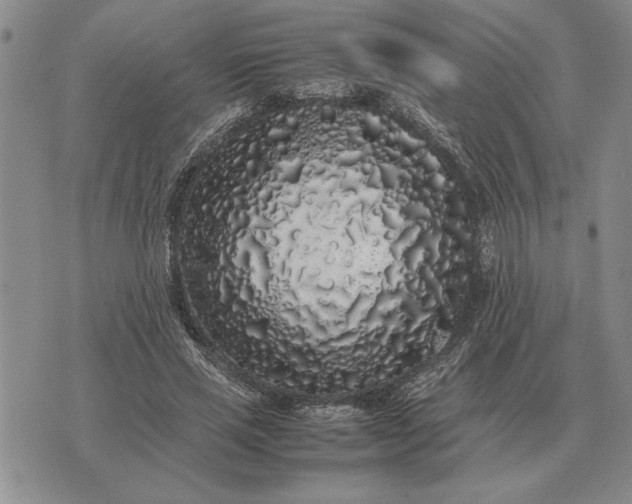 X0000075390637200609251218