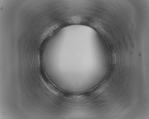 X0000075390638200609251218