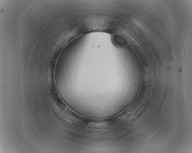 X0000075390639200609251218