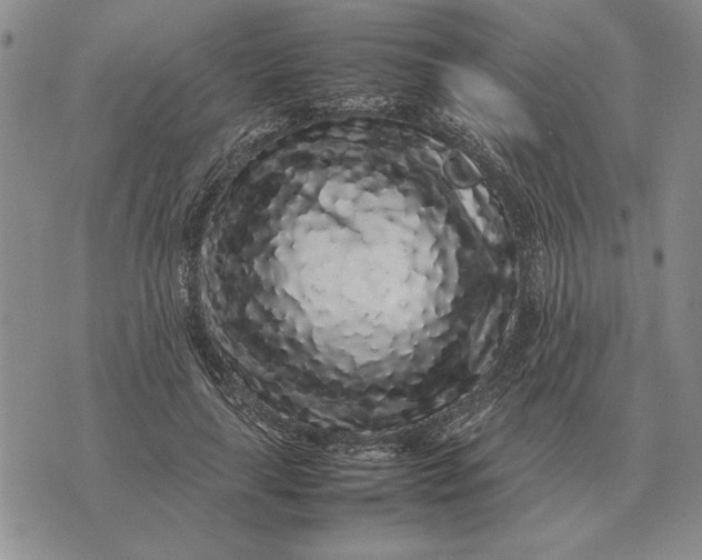 X0000075390643200609251219