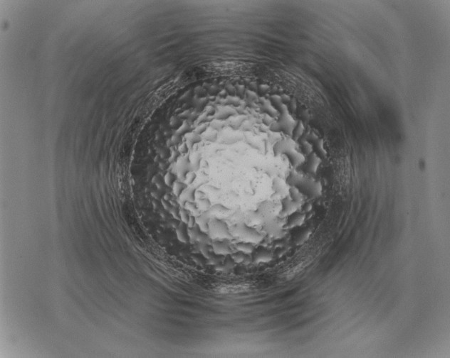 X0000075390653200609251219