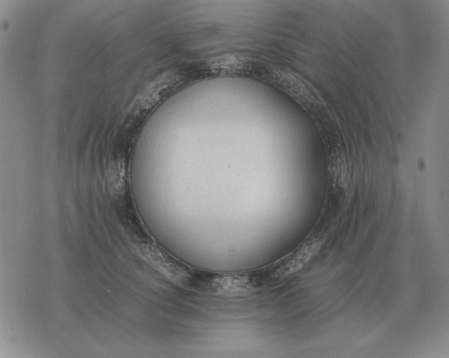 X0000075390660200609251219