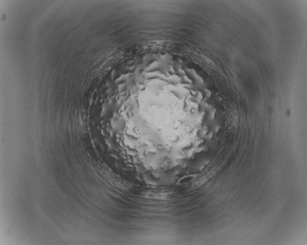 X0000075390661200609251219