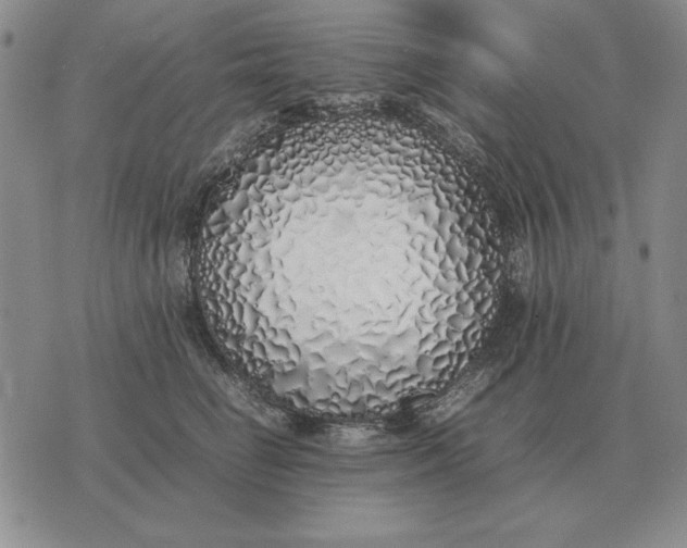 X0000075390662200609251219