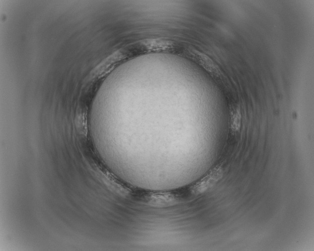 X0000075390666200609251219