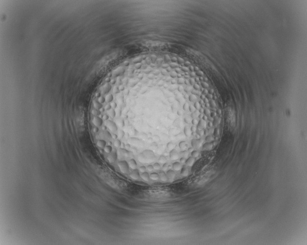X0000075390668200609251219