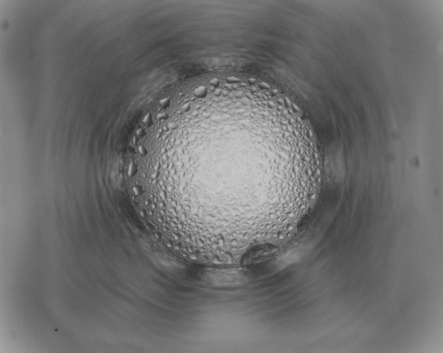 X0000075390671200609251219