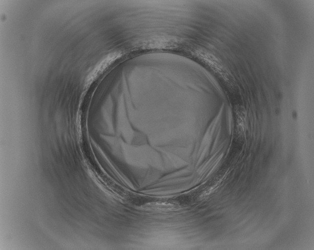 X0000075390678200609251218