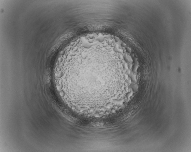 X0000075390687200609251218