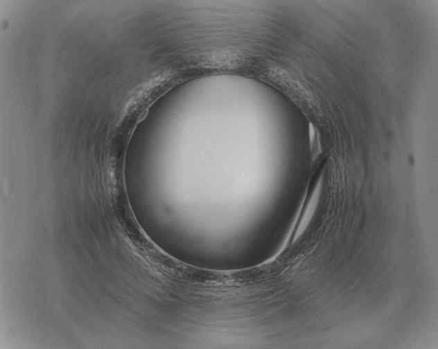 X0000075390688200609251218