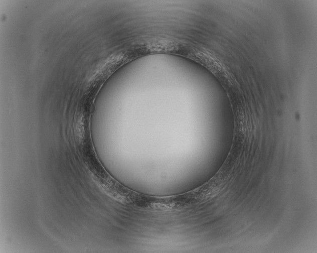 X0000075390690200609251218