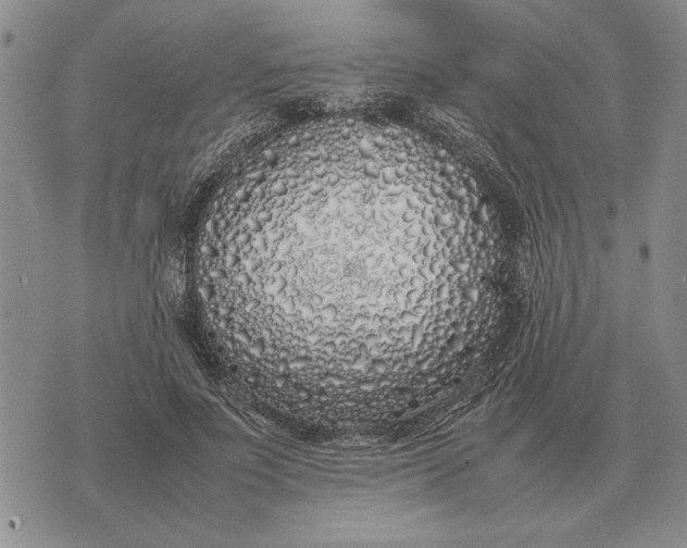 X0000075390691200609251218