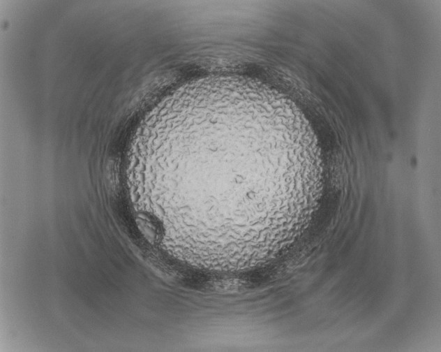 X0000075390695200609251218