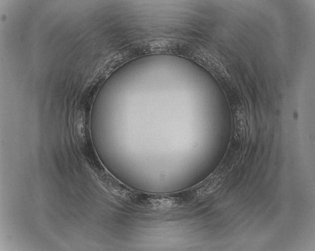 X0000075390698200609251218