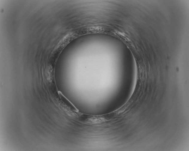 X0000075390712200609251218