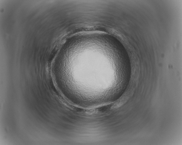 X0000075390720200609251217