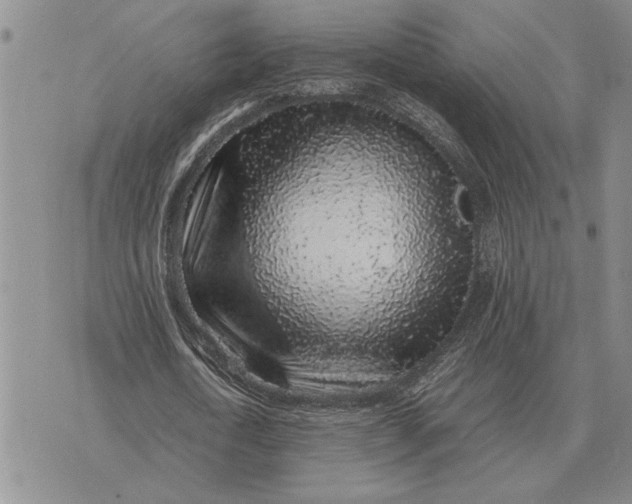 X0000075390722200609251217