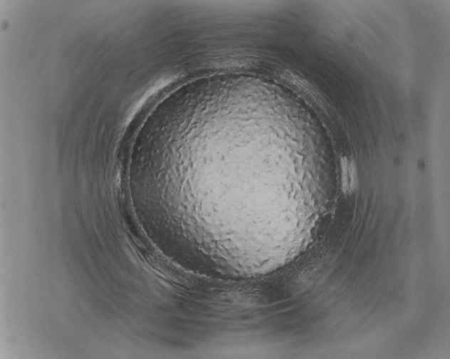 X0000075390723200609251217