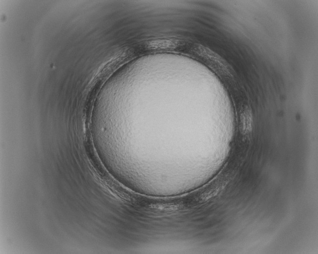 X0000075390733200609251217