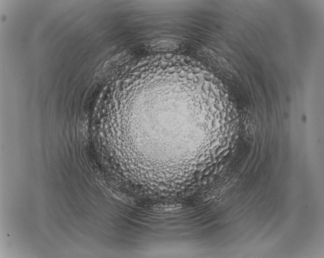 X0000075390745200609251217