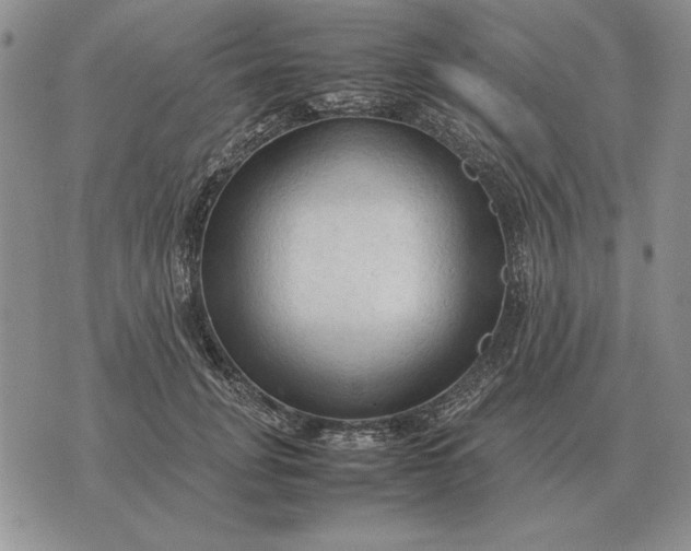 X0000075390751200609251217