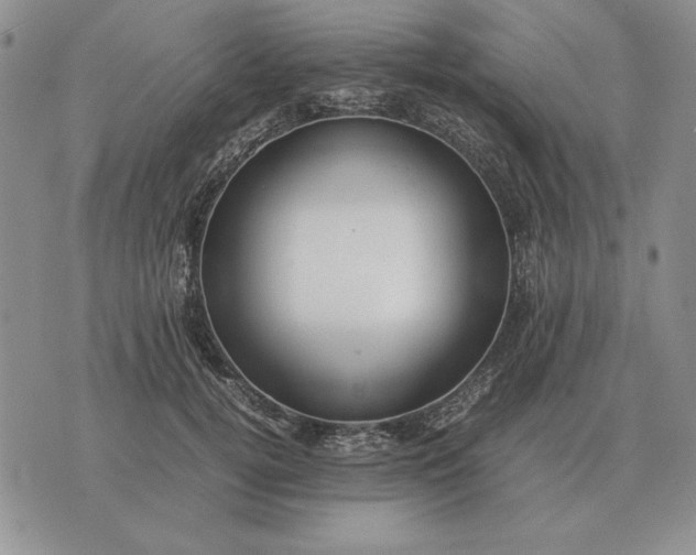 X0000075390752200609251217
