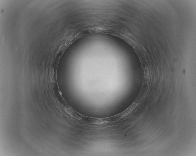 X0000075390760200609251217