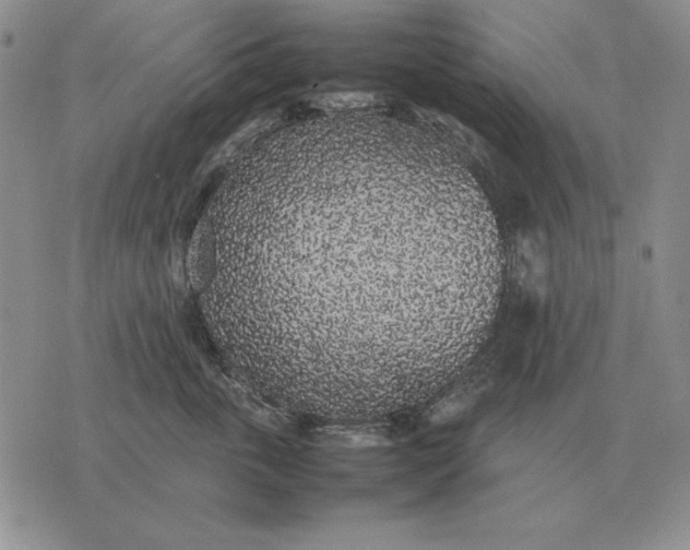 X0000075390763200609251217