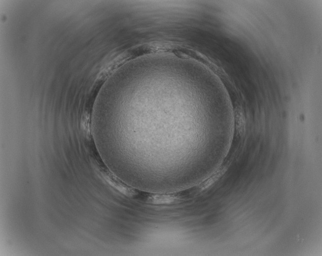 X0000075390766200609251217