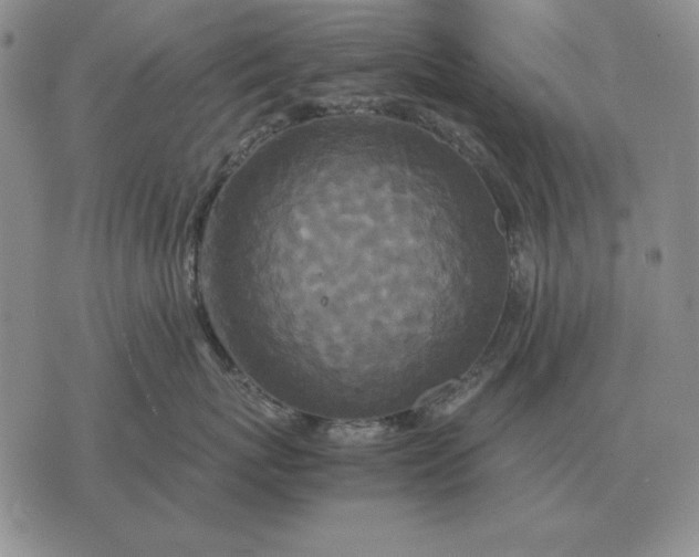 X0000075390767200609251217