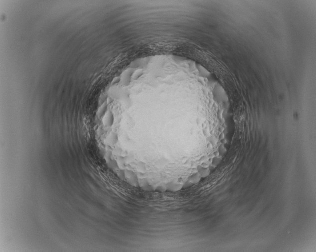 X0000075390772200609251217