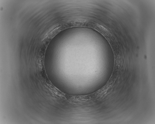 X0000075390774200609251217