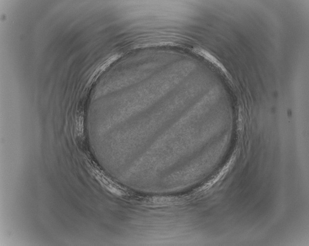 X0000075390777200609251217