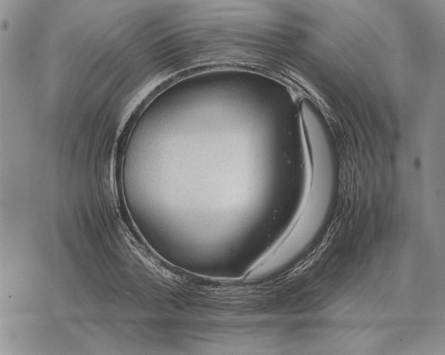 X0000075390788200609251216
