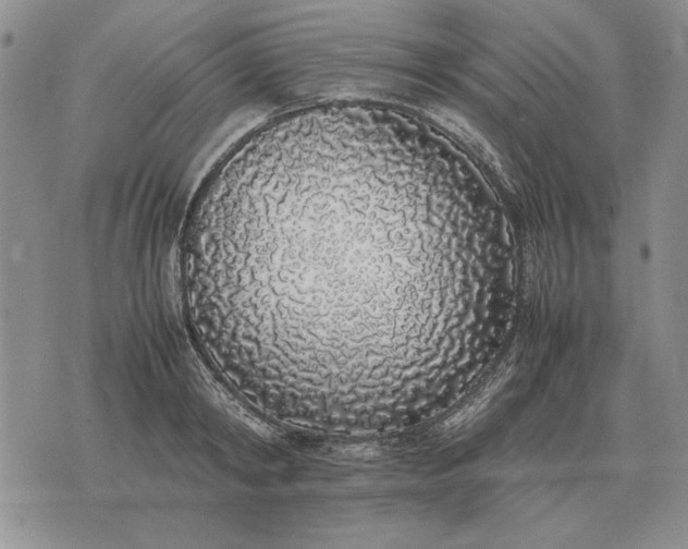 X0000075390798200609251216