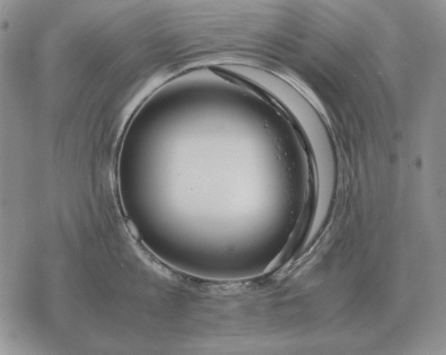 X0000075390813200609251216
