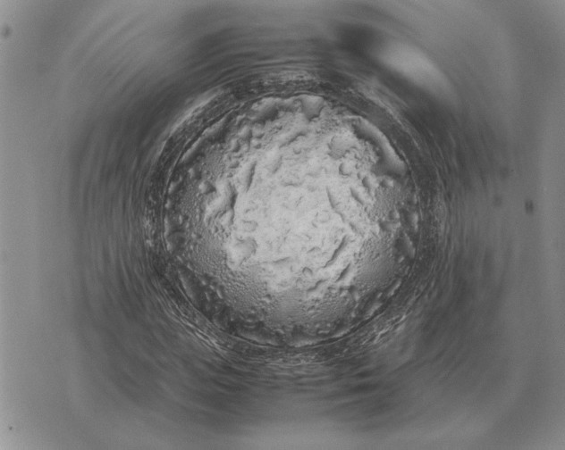 X0000075390823200609251215