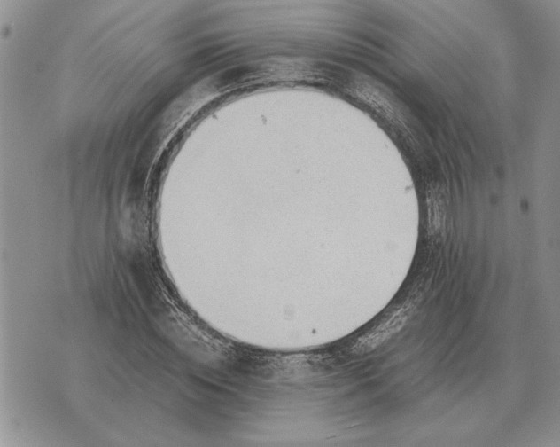 X0000075390828200609251215
