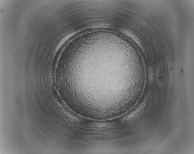 X0000075390829200609251215