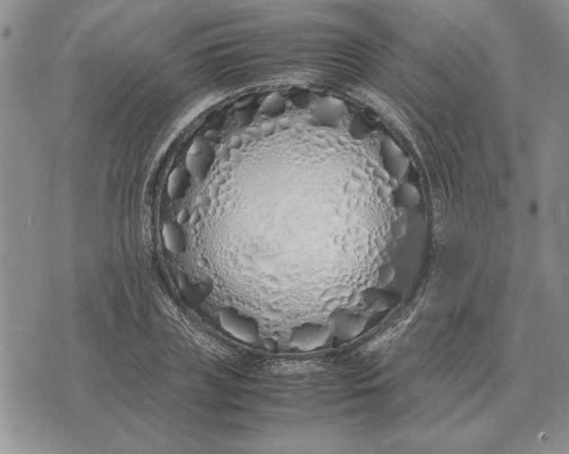 X0000075390835200609251215